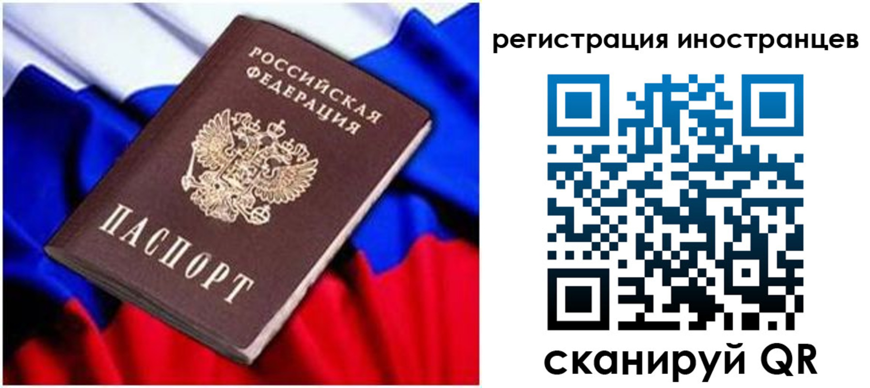 прописка для школы в Полярных Зорях